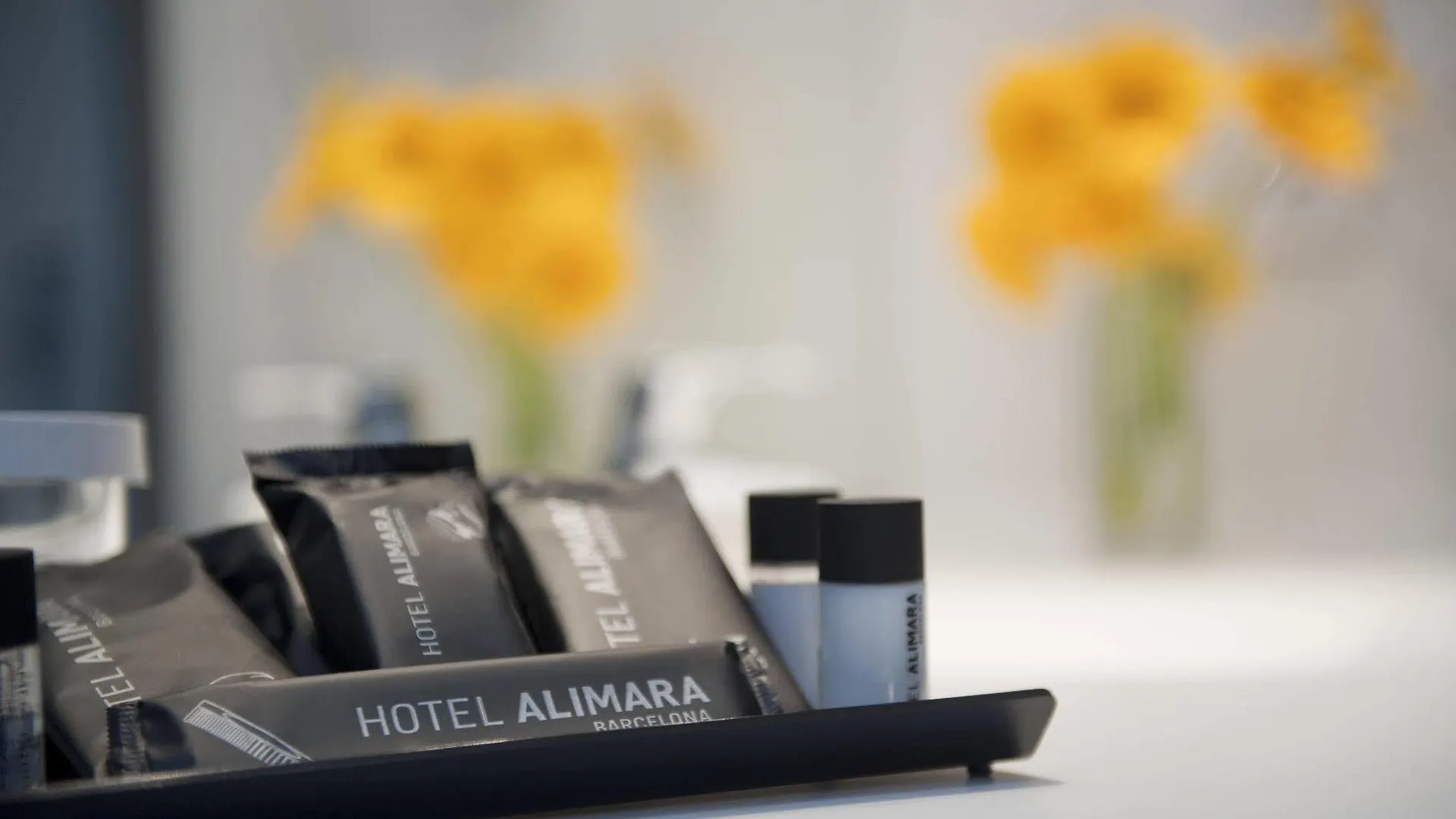 Hotel Alimara Barcelone